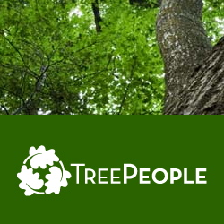 TreePeople